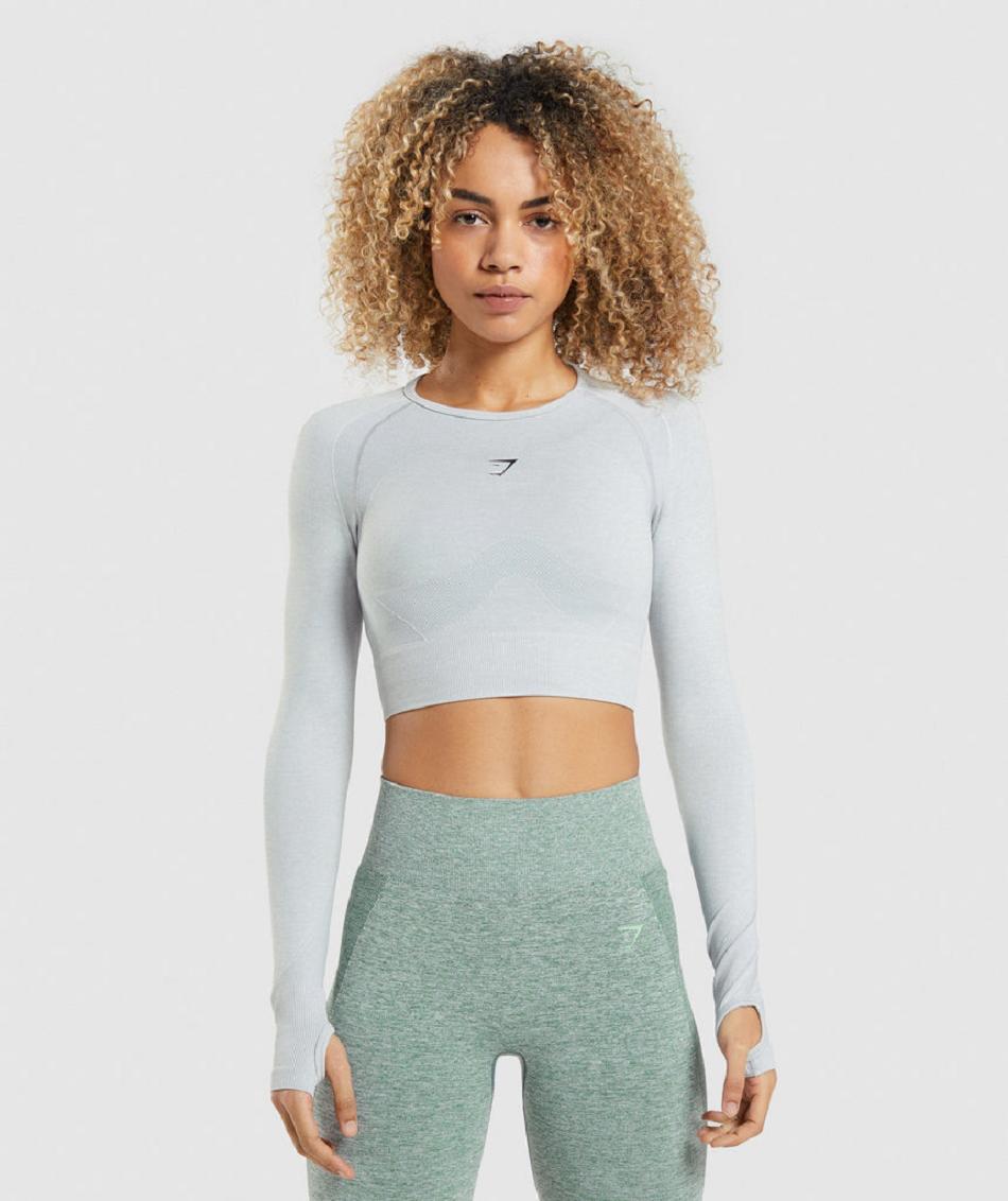 Przycięte Topy Damskie Gymshark Flex Sports Long Sleeve Głęboka Szare | PL 2695SGL